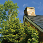 ハイマウンテンタトゥーワークス